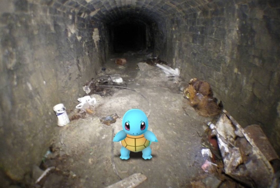 Pokemon In Box Quarry