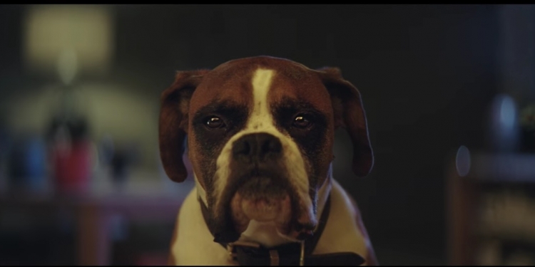 John Lewis Christmas Ad 2016