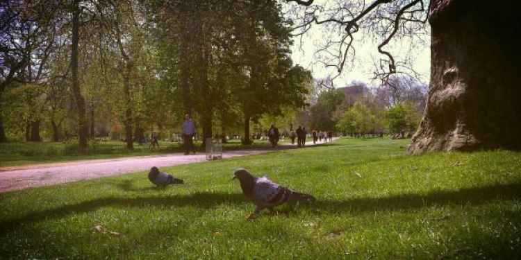 St. James's Park