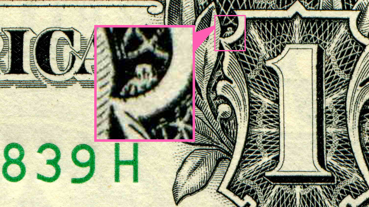 Owl On Dollar Bill