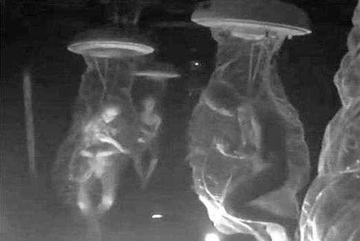 Dulce Base Nightmare Hall