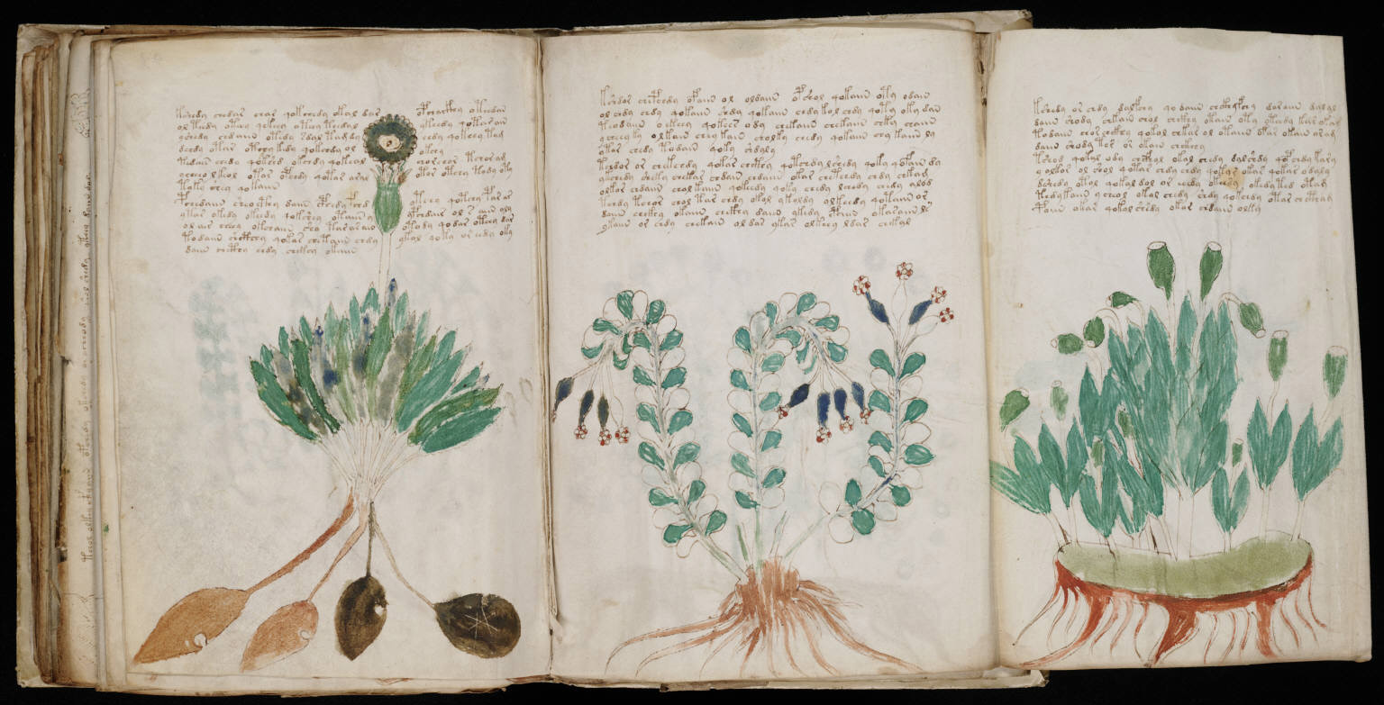 The Voynich Manuscript