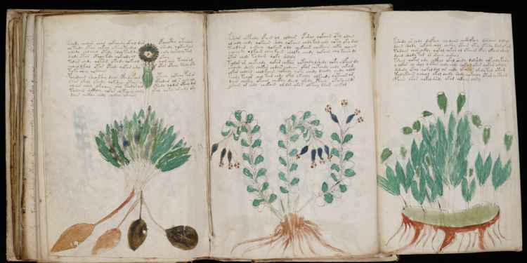 The Voynich Manuscript