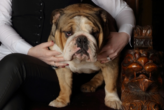 Yvette Fielding and Watson