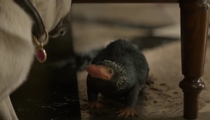 Niffler in Fantastic Beasts And Where To Find Them