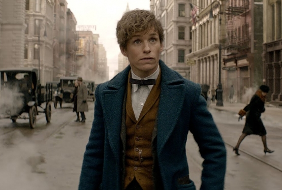 Fantastic Beasts And Where To Find Them