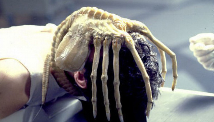 Face Hugger - 'Alien'