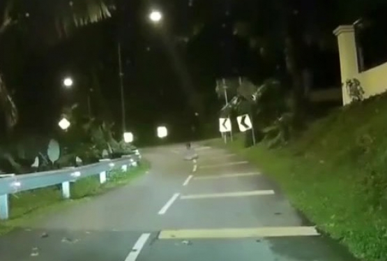 Malaysian Driver Catches Ghost In Road On Dashcam