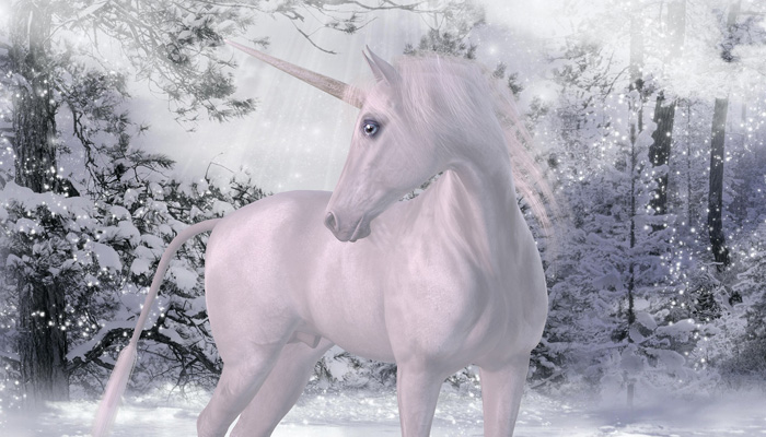 Unicorn