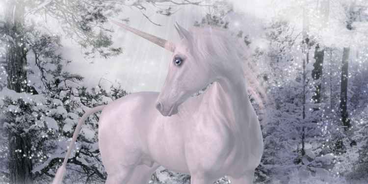 Unicorn