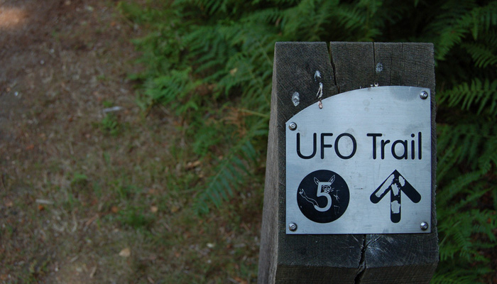 Rendlesham Forest UFO Trail