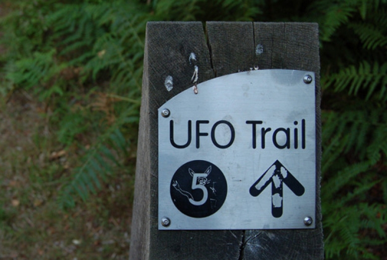 Rendlesham Forest UFO Trail