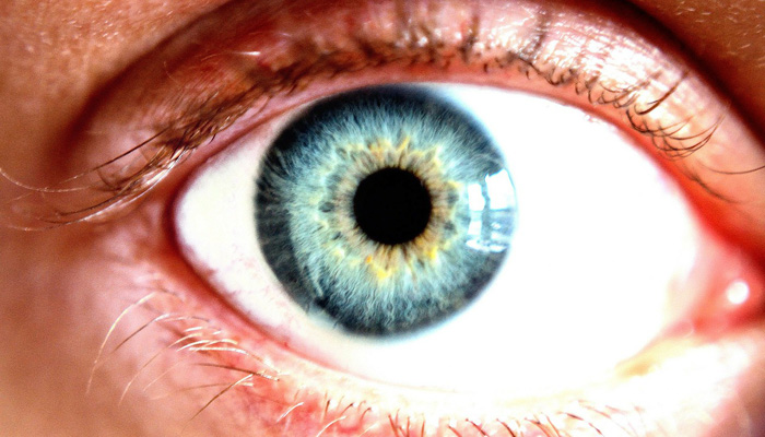 Eye