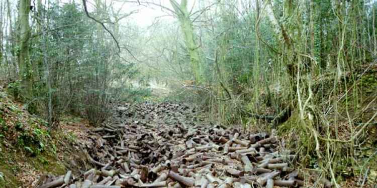 Abandoned shells outside the village of Monkton Farleigh.