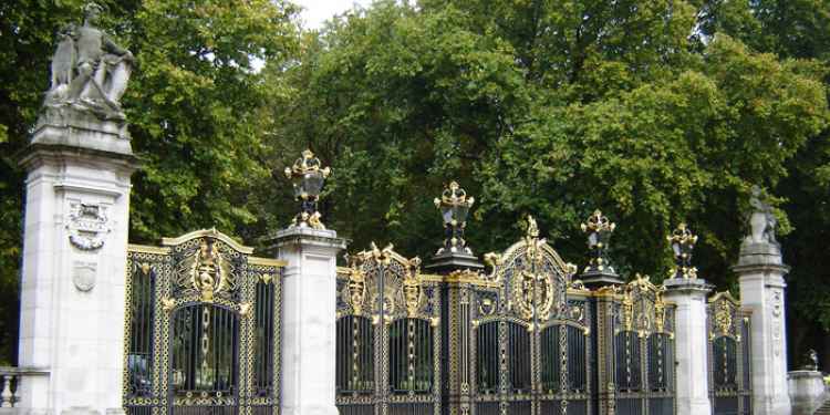 Green Park's Tree Of Death