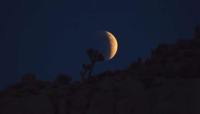 Orange Moon At Moonset