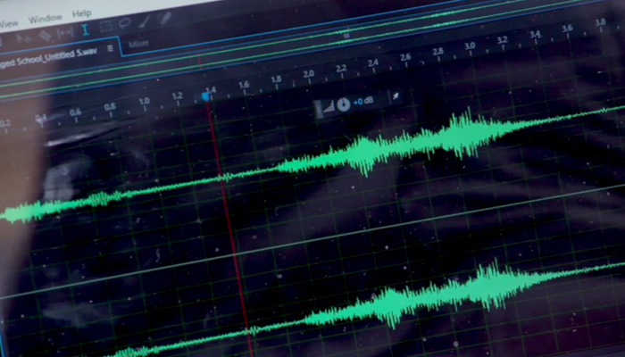 Paranormal EVP Waveform