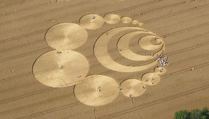 Crop Circle