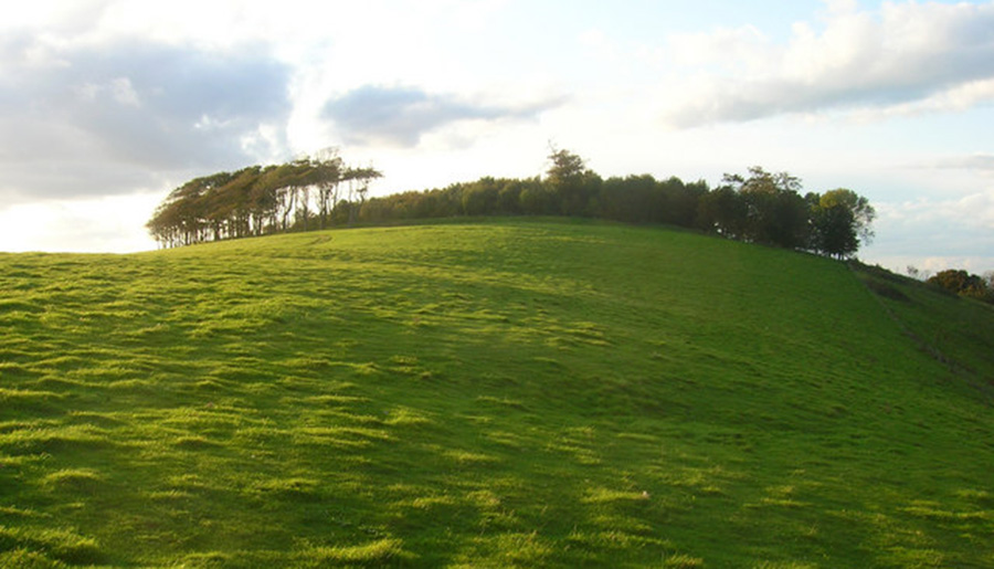 Chanctonbury Ring