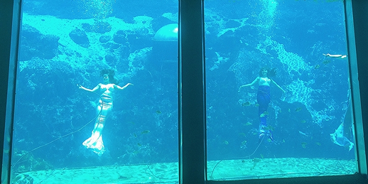 Mermaids of Weeki Wachee Springs State Park