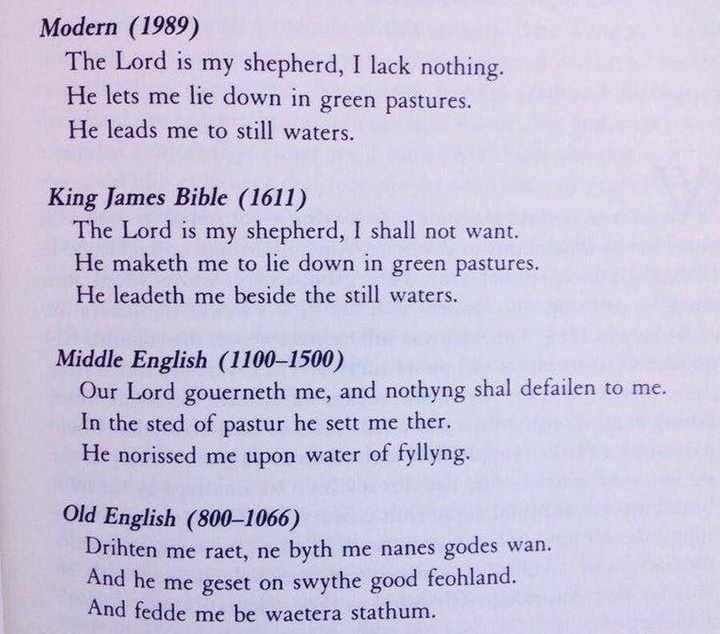 English Evolution 1,000 Years Bible