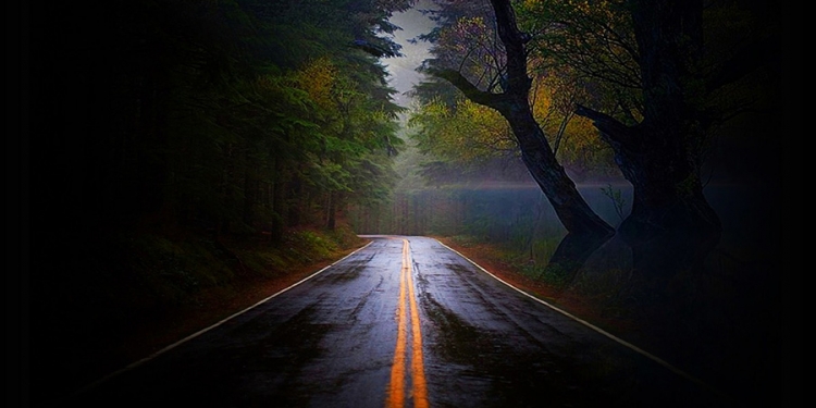 Creepy Road At Night