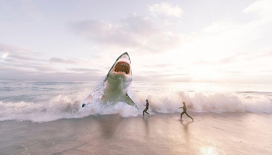 Real Sightings Of Megalodons