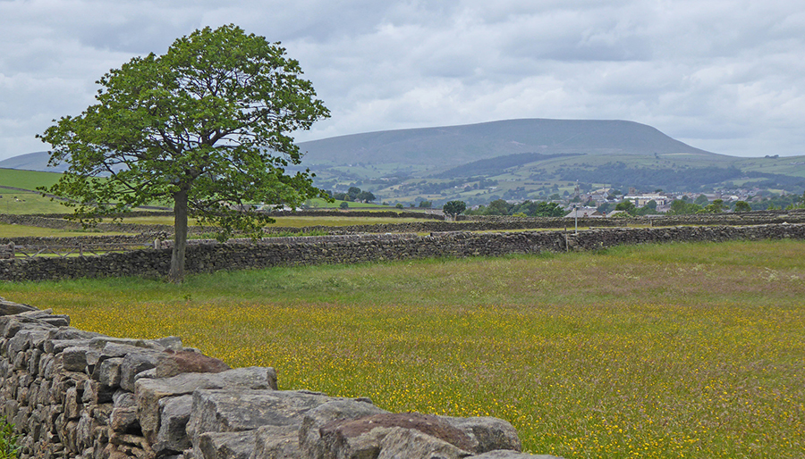 Pendle Hill