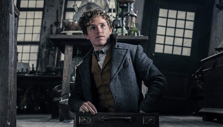 Newt Scamander, Fantastic Beasts: The Crimes of Grindelwald