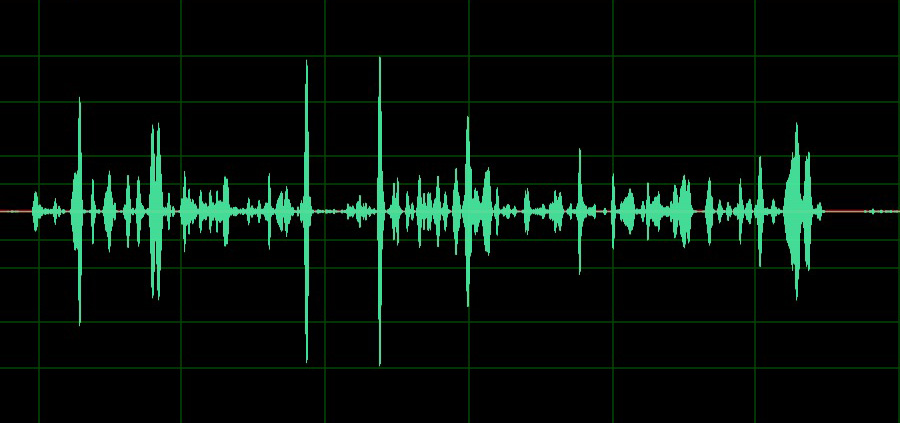 EVP Waveform