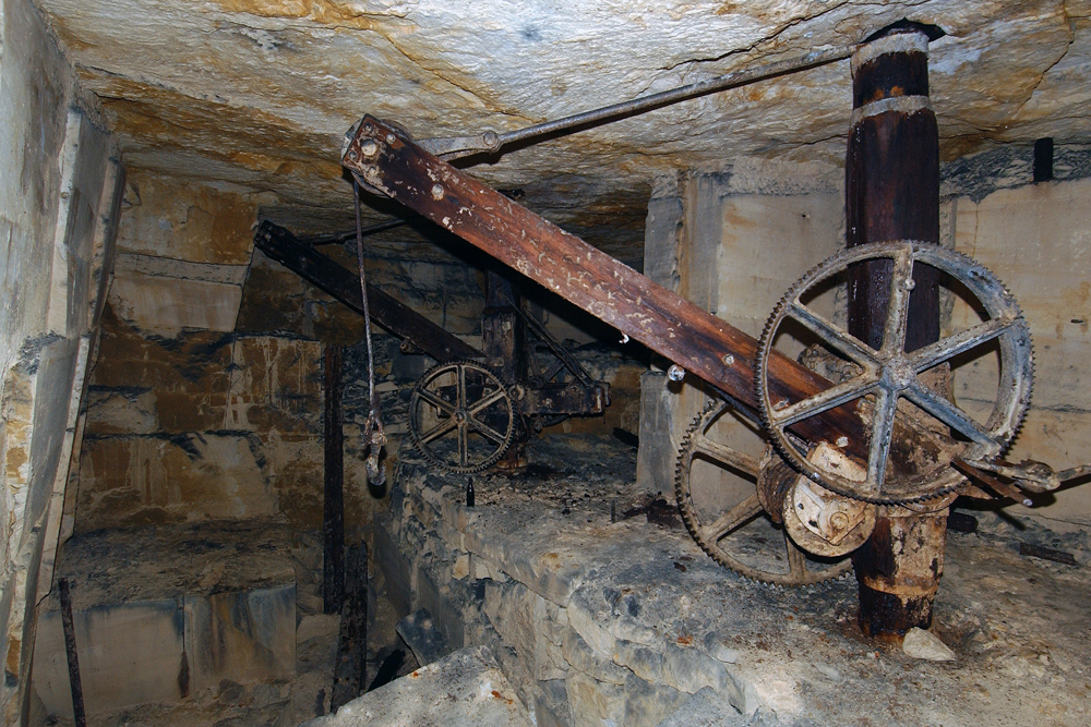 Crane In West Lung, Spring Quarry