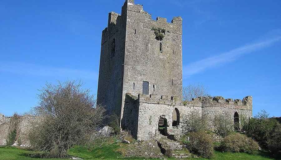 Clonony Castle, County Offaly