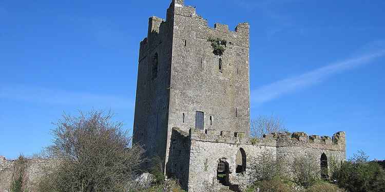 Clonony Castle, County Offaly