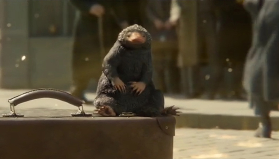 Niffler - Fantastic Beasts The Crimes Of Grindelwald