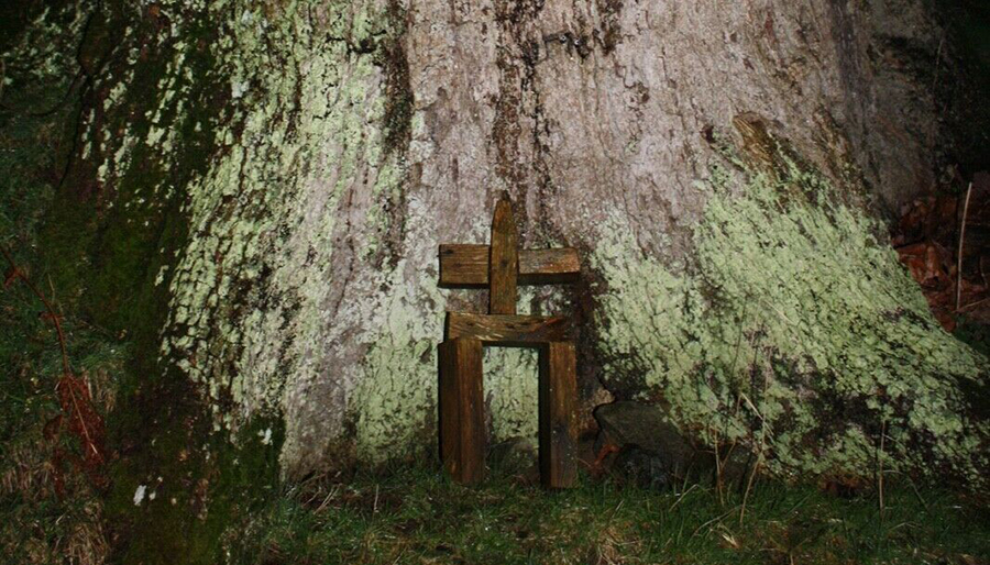 Dybbuk Box Found Under Old Oak Tree