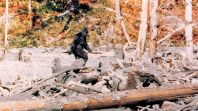 Bigfoot Patterson–Gimlin Film