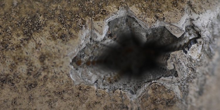 Hole In Concrete