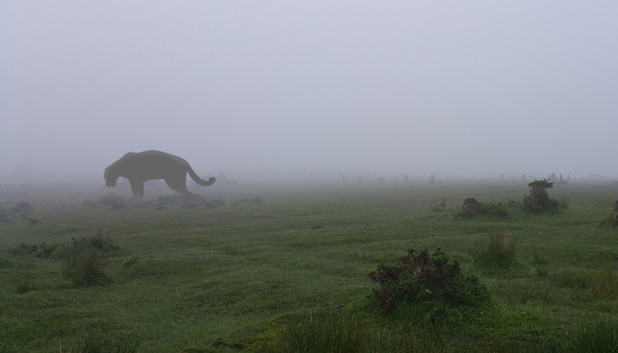 The Beast Of Bodmin Moor