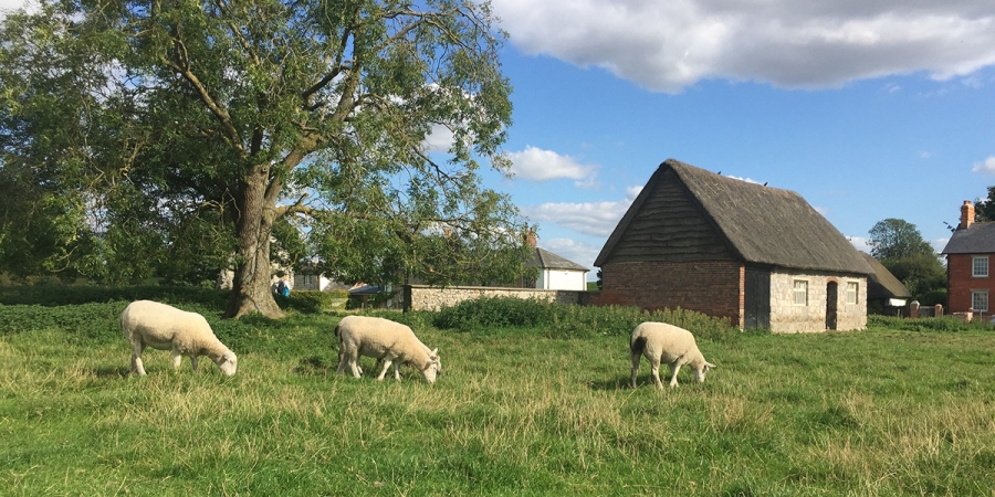 Wiltshire, South West Of England