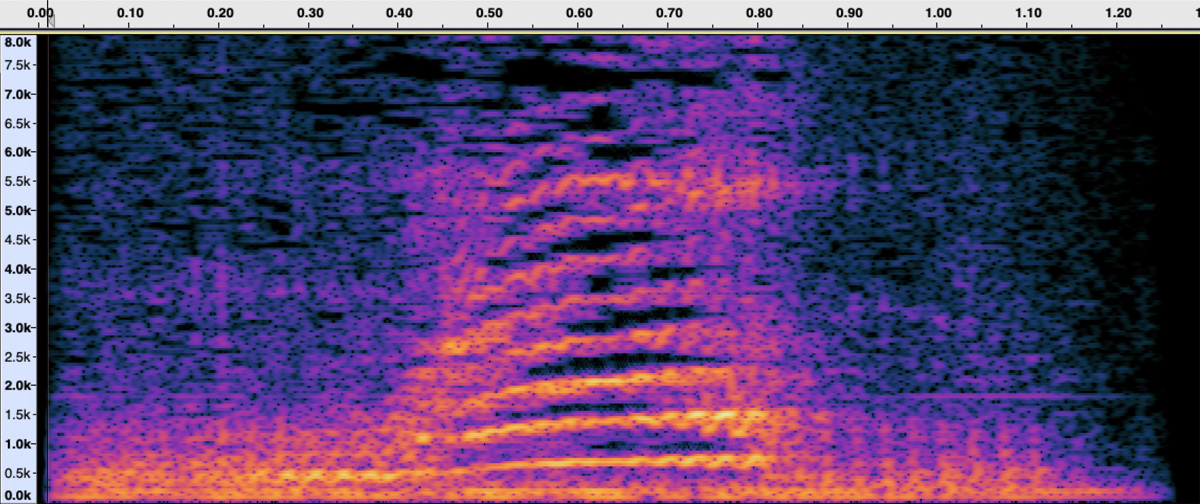 Spectral Frequency Display - Meow