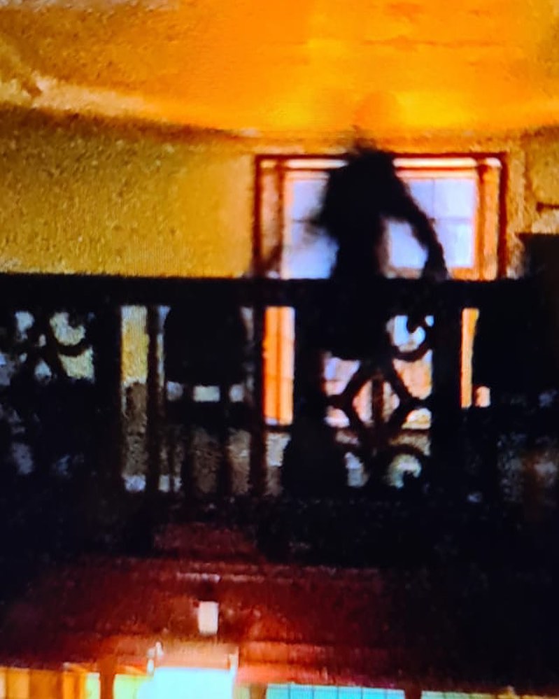 Shadow Figure Captured At Charlton House