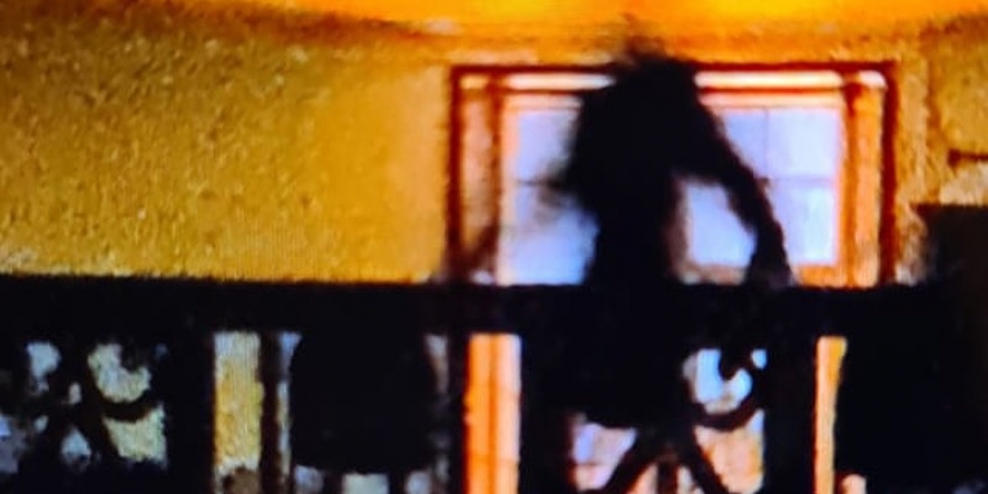 Shadow Figure Captured At Charlton House