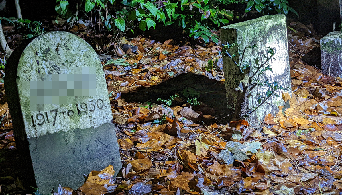 Pet Cemetery At Bishton Hall