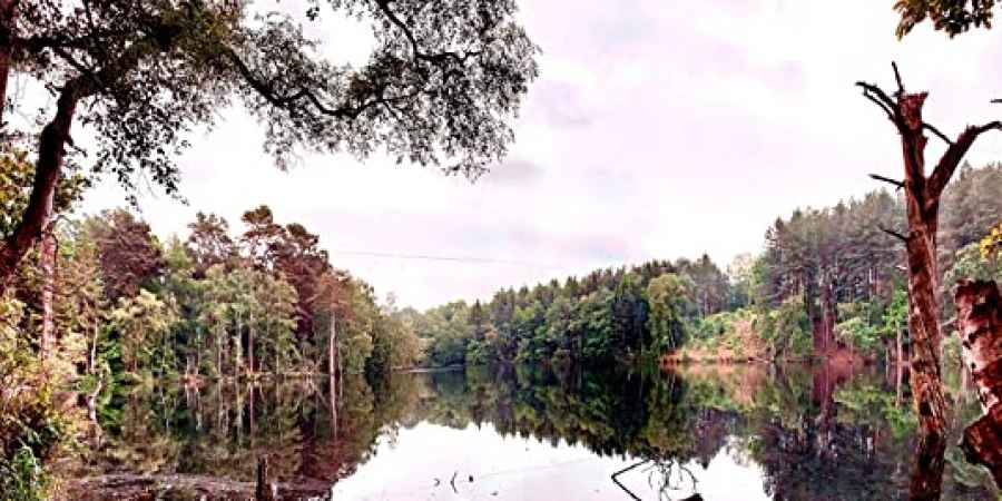 The Haunted Hunts - Delamere Forest