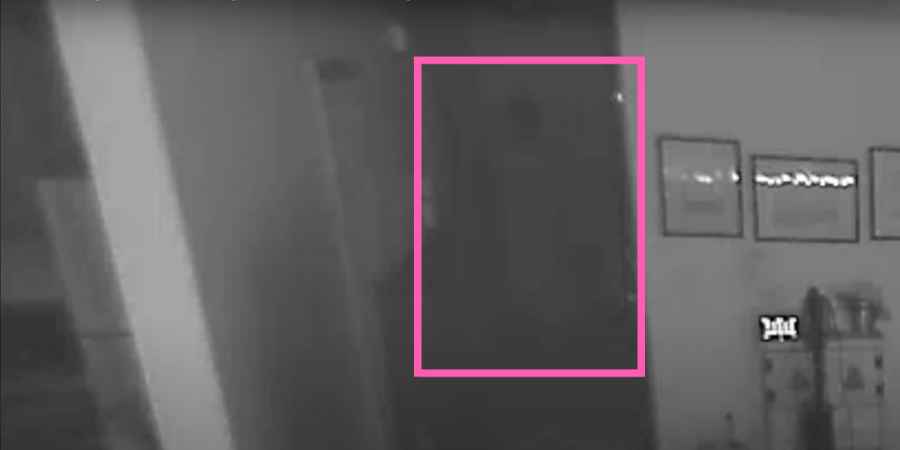 Ghost Scares Cats On CCTV