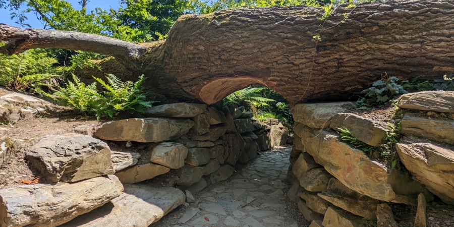 The Lost Gardens Of Heligan