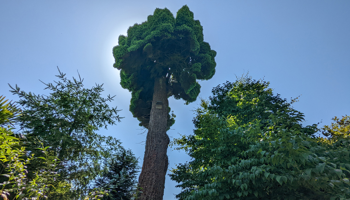 The Lost Gardens Of Heligan