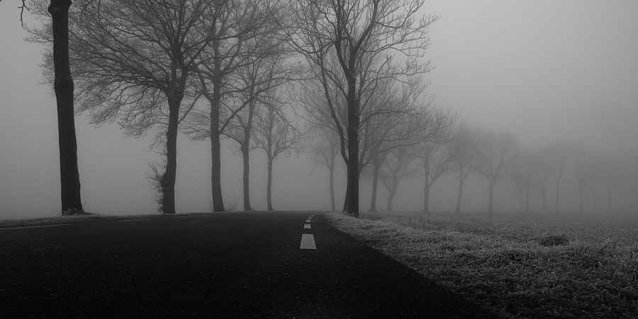 Creepy Ghostly Road