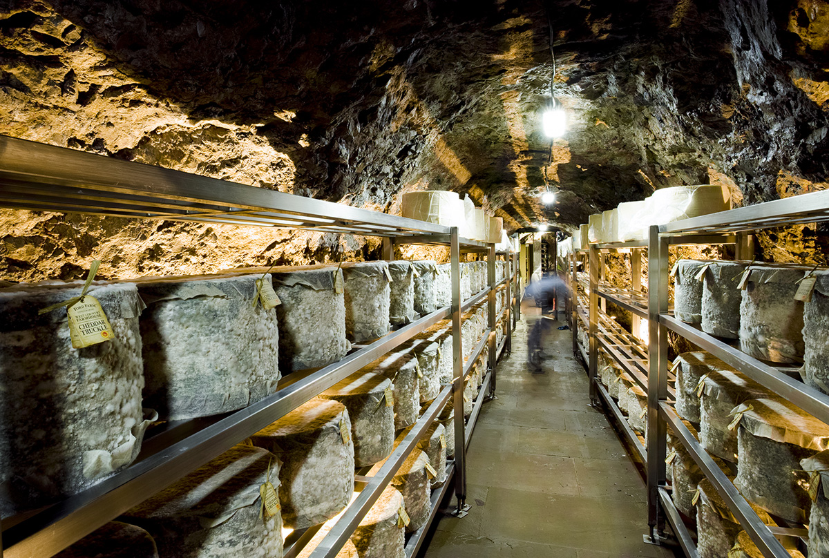 Wookey Hole Cheese