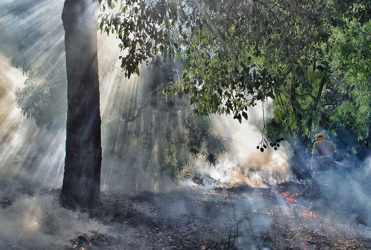 Australian Fires